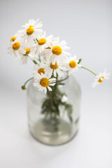 Beautiful bouquet of daisies in a glass vase on a white background