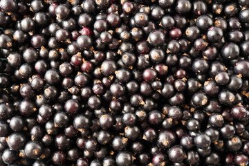 Background of black currants. Fresh berries closeup. Top view. Background of fresh berries. Various fresh summer fruits.  Background of blackcurrants. Antiviral treatment. Coronavirus prevention.