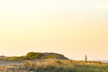 summer east coast dunes sunset