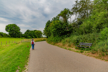 Mature woman walking with her dog on a paved path surrounded by farmland, trees and greenery with green foliage, wooden bench on the path, overcast day with heavy clouds in South Limburg, Netherlands