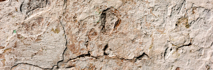 Texture of a concrete wall with cracks and scratches which can be used as a background