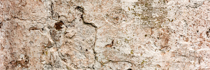 Texture of a concrete wall with cracks and scratches which can be used as a background