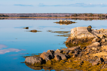 Early morning light and water reflections in Cole Harbor