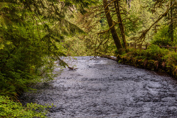 Fototapeta na wymiar Where Silver Creek turns in to South Falls in Silver Falls State Park Oregon.