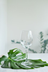 Empty glass on the white table  and green monstera leaf
