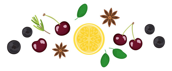 Top view fruit and herb, spice, ingredients, recipe illustration in theme of healthy food of winter and fall season. red cherry, lemon, blueberry, star anise. Isolated on white background