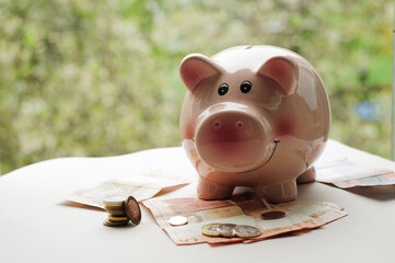 Belarusian rubles after the 2016 denomination, pig piggy bank.