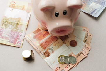 Belarusian rubles after the 2016 denomination, pig piggy bank.