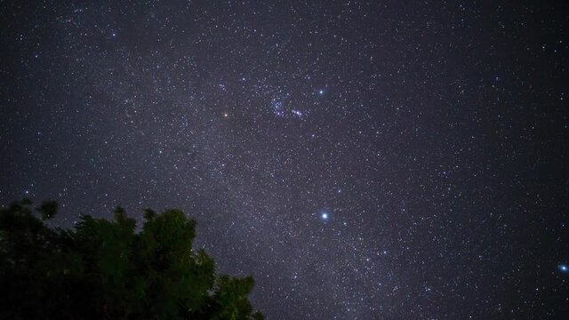 Milkyway passes by in beautiful timelapse of the night sky in Tanzania with trees