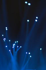 Abstract background. Fantastic fancy plants with colored branches with luminous dots at the ends....