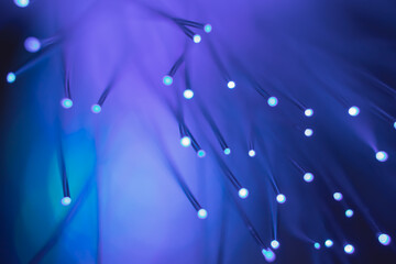 Abstract background. Fantastic fancy plants with colored branches with luminous dots at the ends....