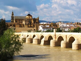 GREAT MOSQUE IN CORDOBA, ANDALUSIA, SPAIN. 
ISLAMIC ART