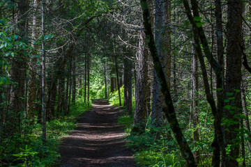 Fototapeta premium Farragut State Park