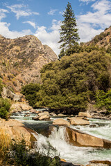Fototapeta na wymiar Mountain valley creek full of rocks in Sierra Nevada, California
