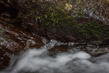 Fototapeta premium flowing water over a stone with moss detail