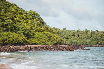 Jungle beach shore with rocks landscape