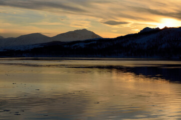 Beautiful fjord with birds and snow covered mountains in the arctic circle at winter