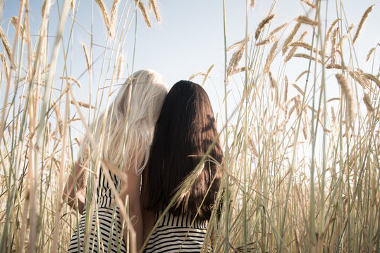 Two girls, holding heads close together,  white and black, black and white, in field of grain, seen from behind
