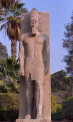 STATUE OF RAMSES,  EGYPTIAN PHARAOH.  RUINS IN MEMPHIS, EGYPT