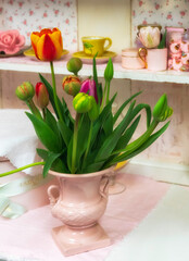 Spring Flowering Cut Tulips