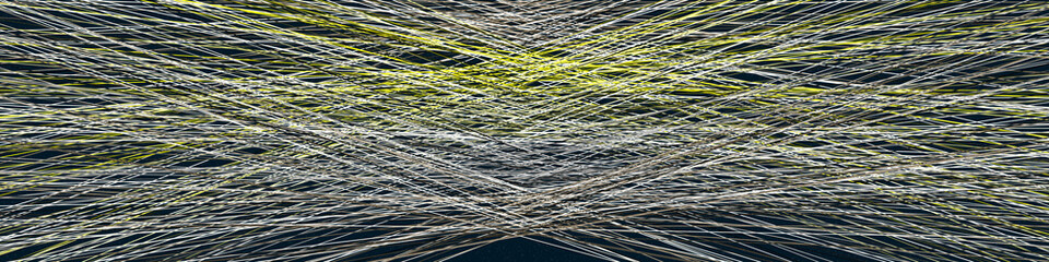 Bright White color Crossing lines generativeart style colorful illustration