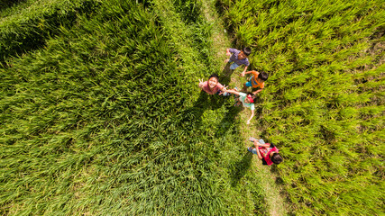 Bali, Indonesia. June 22, 2016. The group of unidentified Balinese kids is fooling for the camera while standing in paddy rice field © BullRun