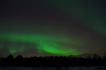 Naklejka na ściany i meble strong vibrant and vivid aurora borealis over winter forest