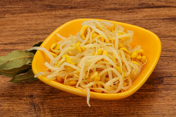 Soy sprout heap in the bowl