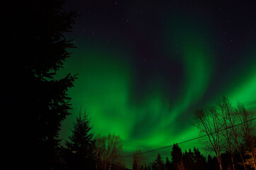 Fototapeta na wymiar strong vibrant and vivid aurora borealis over winter forest