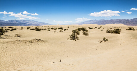 Fototapeta na wymiar Death Valley desert on a sunny summer day