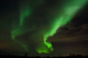 Fototapeta na wymiar solar flare creates strong vibrant aurora borealis on the winter night sky over forest and trees