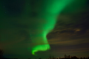 Fototapeta na wymiar solar flare creates strong vibrant aurora borealis on the winter night sky over forest and trees