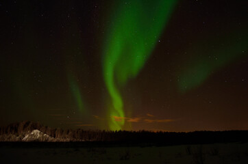 Strong vivid and vibrant aurora borealis on the night sky over cold frozen forest in december