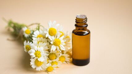 Small glass of chamomile essential aroma oil with fresh camomile flowers on light beige background.Daisy flowers, close up. Cosmetic, spa, aromatherapy and herbal medicine ingredients.Mock up