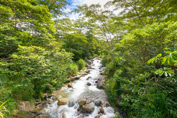 Fototapeta na wymiar Costa Rica river in the jungle