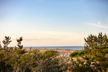 Fototapeta na wymiar sand dunes east coast sunset