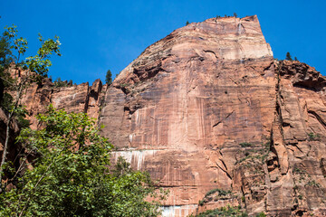 Red steep wall mountain in Zion National Park, Utah