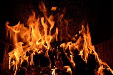 Fototapeta na wymiar Hot vivid burning birch logs in fireplace