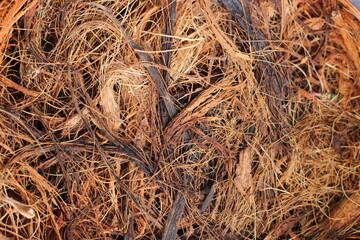 Coconut fibres in close look and chaotic pattern 