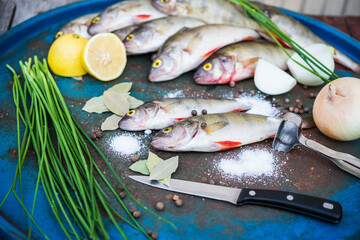 Raw fish. Fish prepared for cooking. Perch and spices
