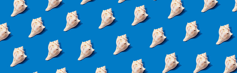 Summer concept with seashells overhead view - flat lay