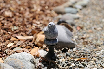 Grey bird garden hose guide 