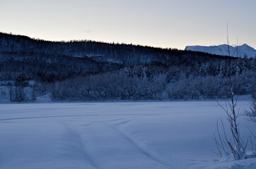 frosty forest and winter landscape with snowy river bed in the arctic circle