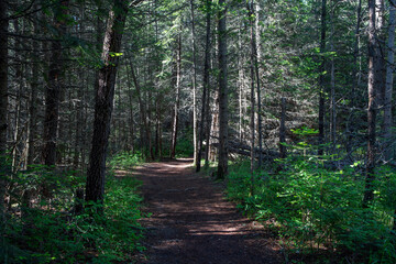 Obraz premium Farragut State Park