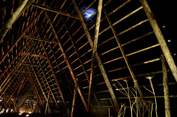 stockfish structure at night