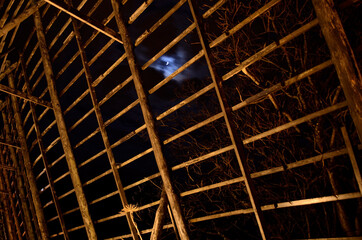 stockfish structure at night