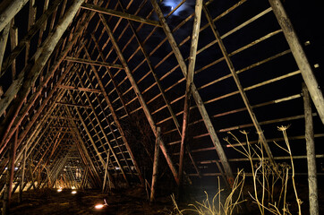 stockfish structure at night