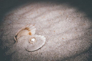 Fototapeta na wymiar seashell with pearl on sand
