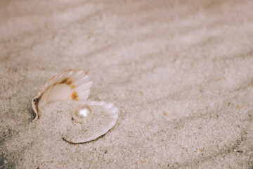 seashell with pearl on sand