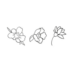 Three flowers made in linear technique 2